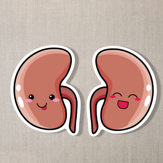 Kidneys Sticker